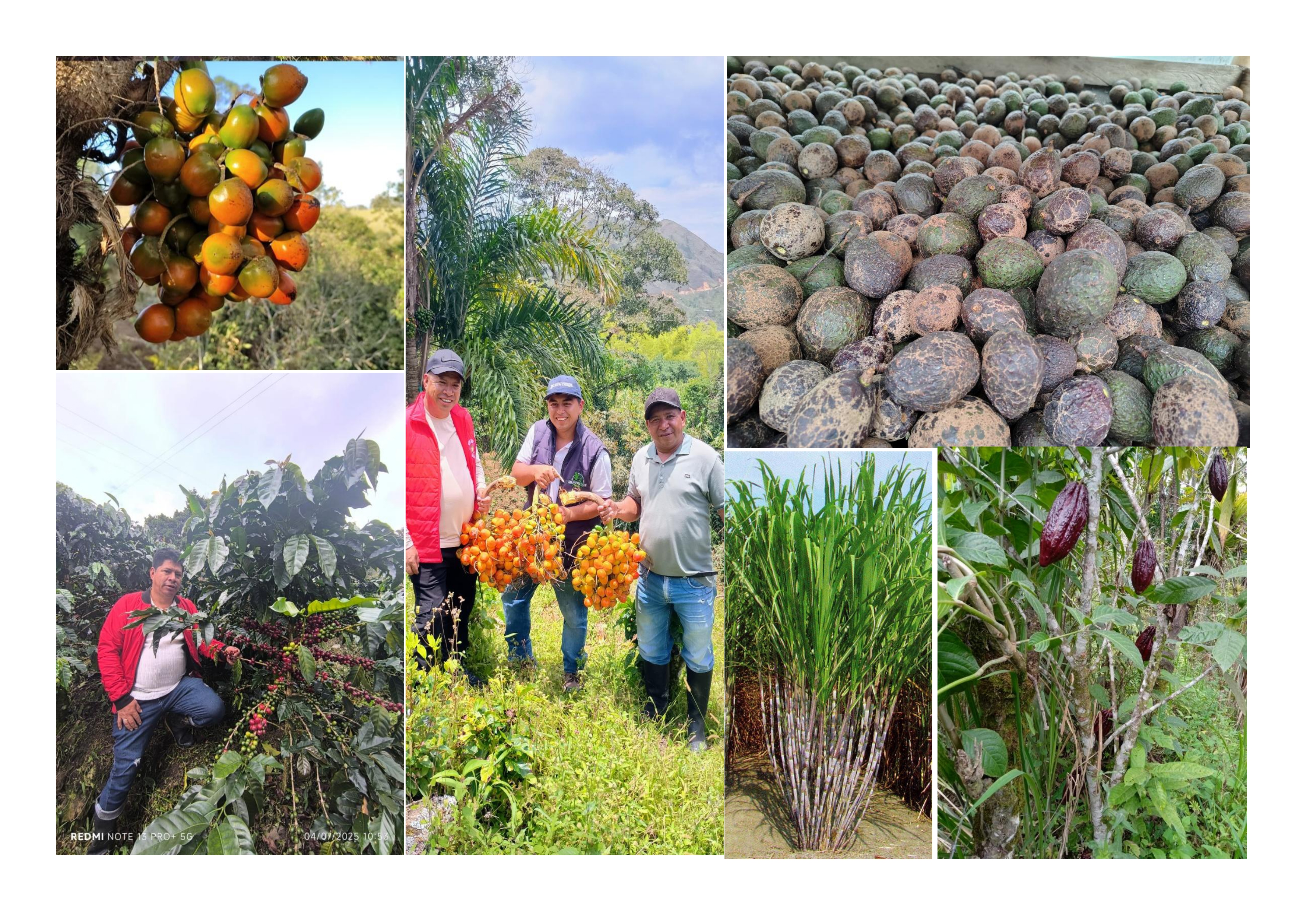 Agroindustrial